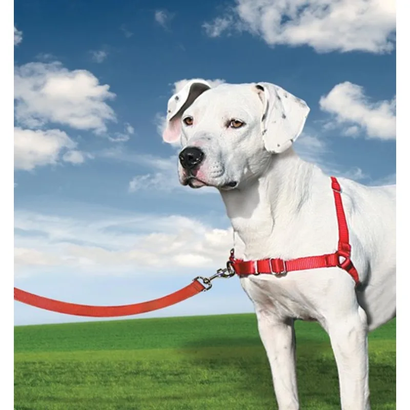 Easy Walk™ Harness